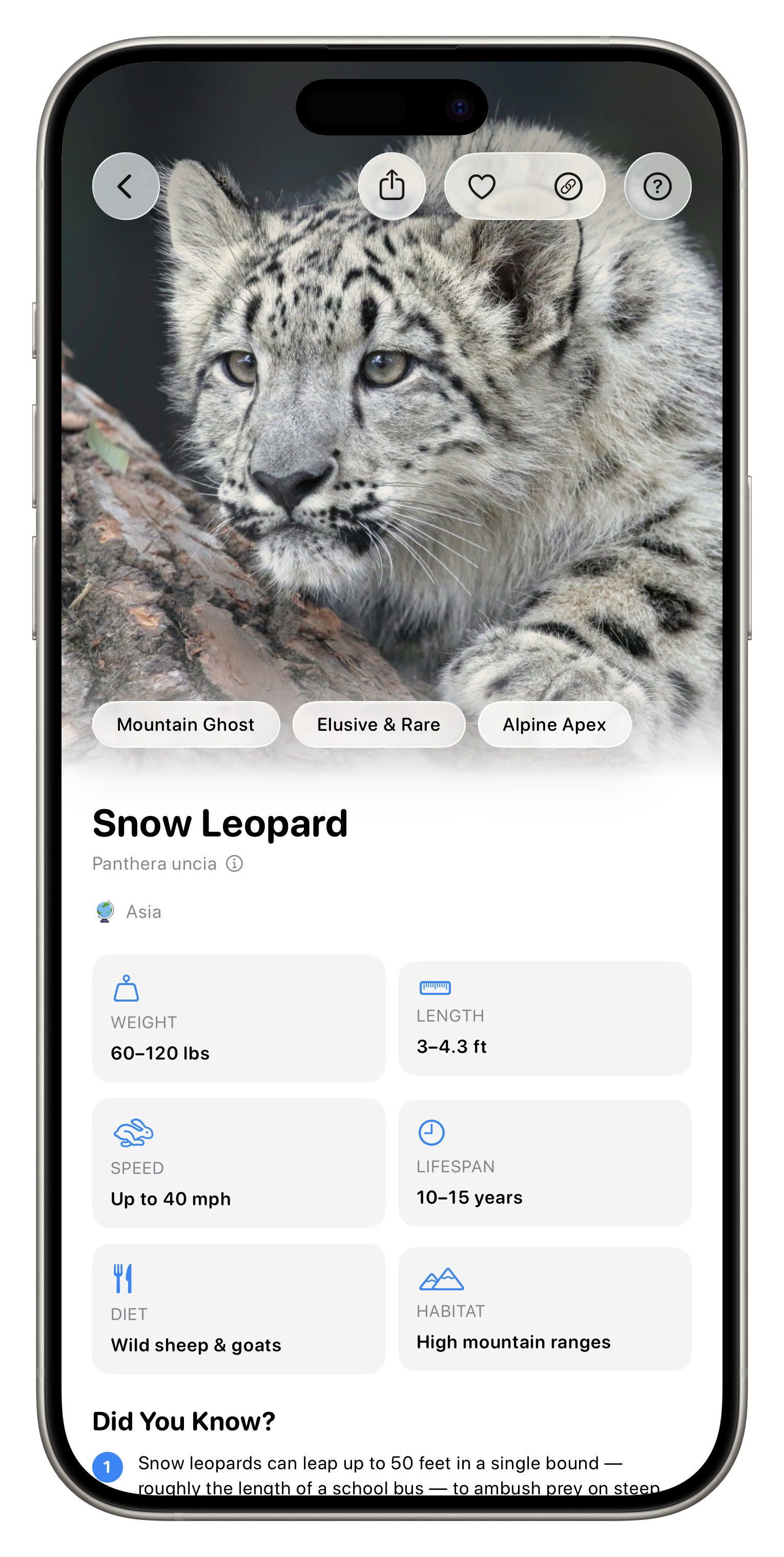 Fauna App Screenshot